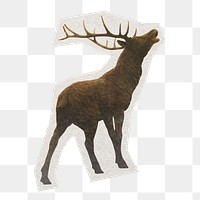 PNG stag, animal sticker with white border, transparent background