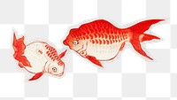 PNG two Goldfish sticker with white border, transparent background 