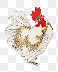 PNG vintage rooster sticker with white border, transparent background 