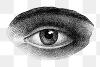 Observing eye png, master mason's chart on transparent background. Remixed by rawpixel.