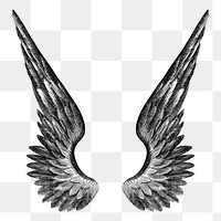 Angel's wings png, vintage illustration on transparent background. Remixed by rawpixel.