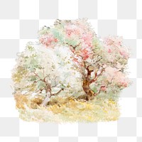 Blooming spring trees png watercolor illustration element, transparent background. Remixed from Joseph Rubens Powell artwork, by rawpixel.