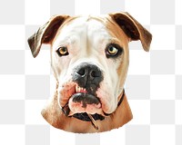 PNG Old English Bulldog, collage element, transparent background