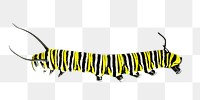 Tiger caterpillar png, design element, transparent background