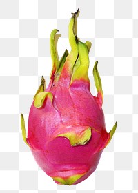 Pink dragonfruit png, transparent background