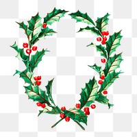 Png holly christmas wreath illustration, isolated object, transparent background