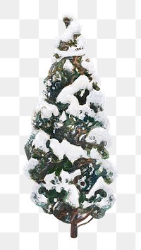 Vintage snowy tree png Winter, transparent background. Remixed by rawpixel. 