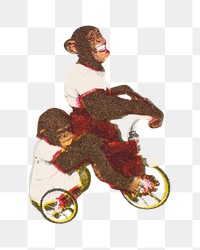 Chimpanzees riding tricycle png, animal illustration on transparent background. Remixed by rawpixel.