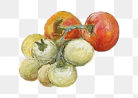 Vintage tomatoes png still life, illustration by Pekka Halonen, transparent background. Remixed by rawpixel.