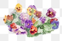 PNG Colorful spring flowers, vintage illustration Violets by Maria Wiik, transparent background. Remixed by rawpixel.