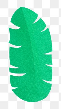 Tropical palm png leaves sticker, transparent background