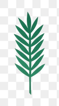 Rowan leaves png sticker, transparent background