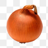 Onion png collage element on transparent background