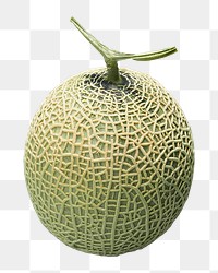 Png melon, transparent background