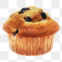 Blueberry cupcake png chef bakery, transparent background