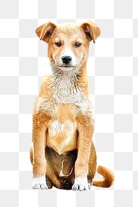 Brown dog png, design element, transparent background