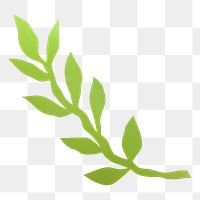 Plant png doodle, green collage element, transparent background