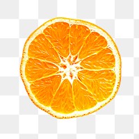 Png orange, transparent background