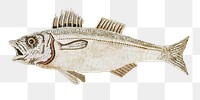 PNG Fish from Mosaic of marine life illustration transparent background. Remixed by rawpixel.