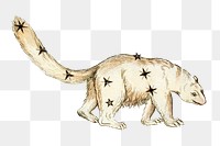 PNG Mythological Ursa Minor constellation illustration transparent background. Remixed by rawpixel.