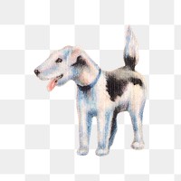 PNG Cute dog illustration transparent background. Remixed by rawpixel.