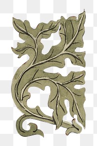 PNG Ornate leaf, decorative element by Charles Dyce, transparent background.  Remixed by rawpixel. 