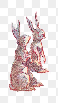 PNG Two bunnies cartoon, vintage animal illustration by Wells, Richardson & Co, transparent background.  Remixed by rawpixel. 