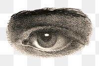 PNG Observing eye, vintage illustration, transparent background.  Remixed by rawpixel. 