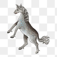 PNG Horse, vintage mythical creature illustration, transparent background.  Remixed by rawpixel. 