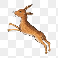 PNG Rabbit, vintage mythical creature illustration, transparent background.  Remixed by rawpixel. 