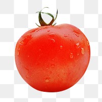 Fresh tomato png, transparent background