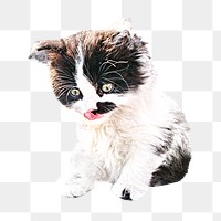 White kitten png collage element, transparent background