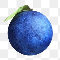 Blueberries fruit png, transparent background