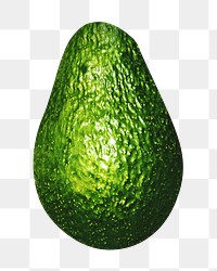 Png avocado, transparent background