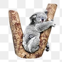 Sleeping koala png, design element, transparent background