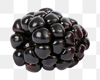 Black currant png, transparent background