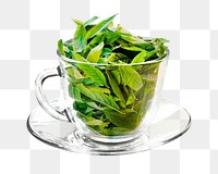 Green tea png, transparent background