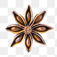 PNG Anise macro shot, collage element, transparent background