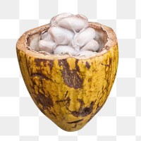 PNG cocoa seeds, collage element, transparent background