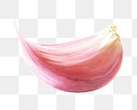 Png fresh garlic clove element, transparent background