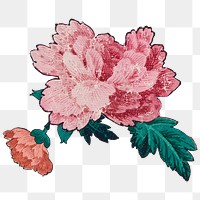 Pink vintage png peony painting, transparent background