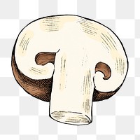 Png mushroom illustration collage element, transparent background