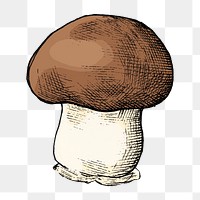 Png mushroom illustration collage element, transparent background