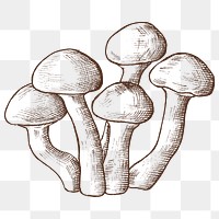 Png mushroom illustration collage element, transparent background