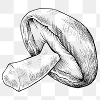 Png mushroom black and white illustration, transparent background