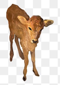 Jersey calf png livestock, transparent background. Remixed by rawpixel.