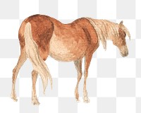 Brown horse png animal, transparent background. Remixed by rawpixel.