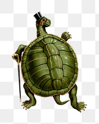 PNG turtle character vintage illustration on transparent background. Remixed by rawpixel. 