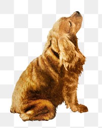 PNG English Cocker Spaniel dog vintage illustration on transparent background. Remixed by rawpixel. 