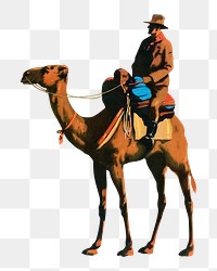 PNG vintage camel, transparent background. Remixed by rawpixel. 